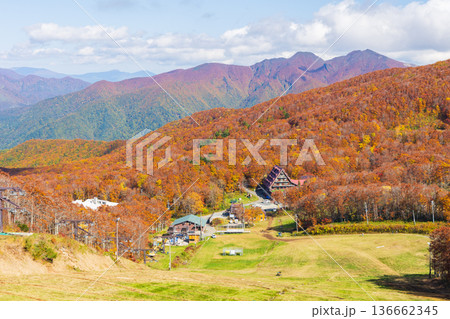 秋の山形蔵王 紅葉の蔵王中央高原 鳥兜山展望台からの眺望 秋の山形蔵王 紅葉の蔵王中央高原 鳥兜山展望台からの眺望 136662345