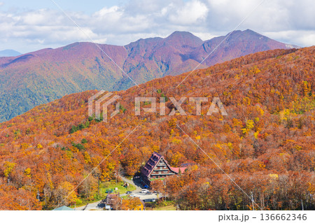 秋の山形蔵王 紅葉の蔵王中央高原 鳥兜山展望台からの眺望 秋の山形蔵王 紅葉の蔵王中央高原 鳥兜山展望台からの眺望 136662346