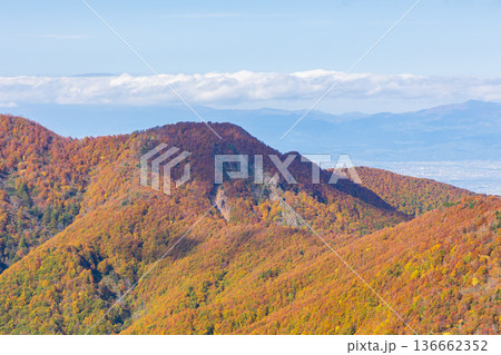 秋の山形蔵王 紅葉の蔵王中央高原 鳥兜山展望台からの眺望 秋の山形蔵王 紅葉の蔵王中央高原 鳥兜山展望台からの眺望 136662352