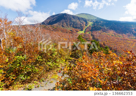 秋の山形蔵王　紅葉の蔵王中央高原　鳥兜山展望台からの眺望 136662353