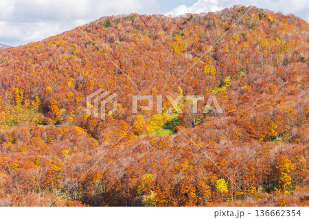 秋の山形蔵王 紅葉の蔵王中央高原 鳥兜山展望台からの眺望 秋の山形蔵王 紅葉の蔵王中央高原 鳥兜山展望台からの眺望 136662354