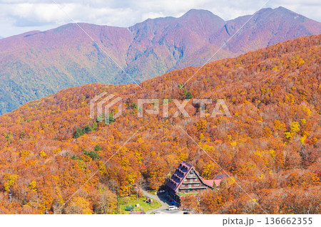 秋の山形蔵王 紅葉の蔵王中央高原 鳥兜山展望台からの眺望 秋の山形蔵王 紅葉の蔵王中央高原 鳥兜山展望台からの眺望 136662355