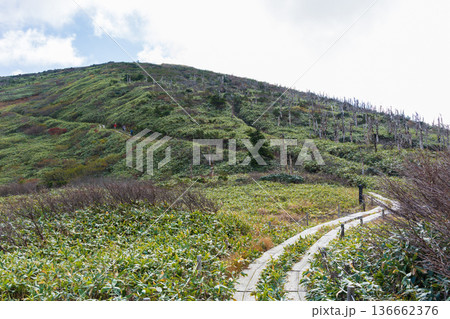 秋の蔵王連峰　地蔵岳 136662376