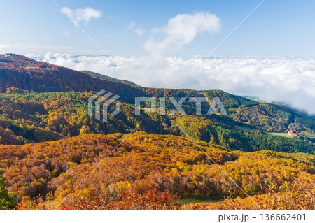秋の山形蔵王 紅葉の蔵王中央高原 鳥兜山展望台からの眺望 秋の山形蔵王 紅葉の蔵王中央高原 鳥兜山展望台からの眺望 136662401