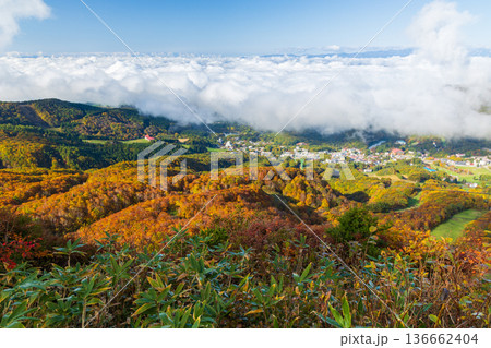 秋の山形蔵王 紅葉の蔵王中央高原 鳥兜山展望台からの眺望 秋の山形蔵王 紅葉の蔵王中央高原 鳥兜山展望台からの眺望 136662404