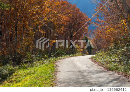 秋の山形蔵王 紅葉の蔵王中央高原 秋の山形蔵王 紅葉の蔵王中央高原 136662412