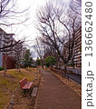 ベンチと公園の道 136662480