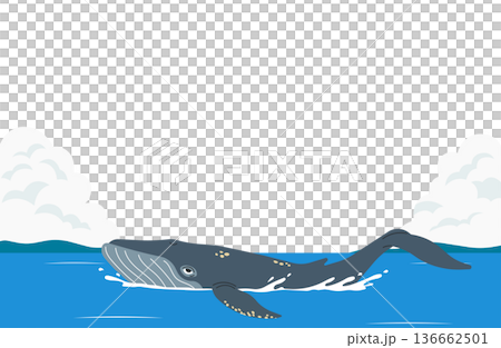 地平線上游弋著鯨魚。 地平線上游弋著鯨魚。 136662501