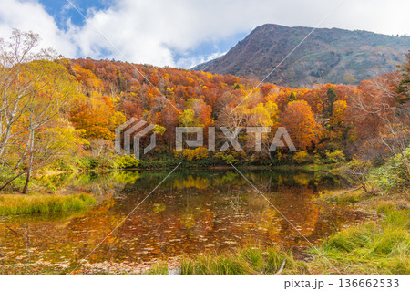 秋の山形蔵王 紅葉の蔵王中央高原 片貝沼 秋の山形蔵王 紅葉の蔵王中央高原 片貝沼 136662533