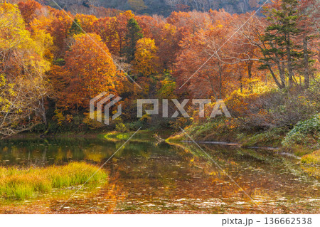 秋の山形蔵王 紅葉の蔵王中央高原 片貝沼 秋の山形蔵王 紅葉の蔵王中央高原 片貝沼 136662538