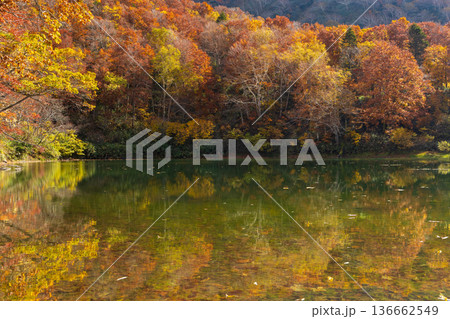 秋の山形蔵王 紅葉の蔵王中央高原 片貝沼 秋の山形蔵王 紅葉の蔵王中央高原 片貝沼 136662549