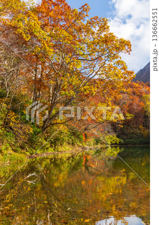 秋の山形蔵王 紅葉の蔵王中央高原 片貝沼 秋の山形蔵王 紅葉の蔵王中央高原 片貝沼 136662551