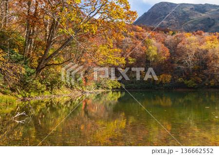 秋の山形蔵王 紅葉の蔵王中央高原 片貝沼 秋の山形蔵王 紅葉の蔵王中央高原 片貝沼 136662552