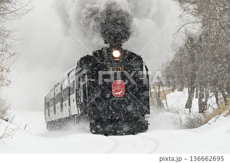 釧網本線 塘路ー萱沼 雪降り 驀進する蒸気機関車 釧網本線 塘路ー萱沼 雪降り 驀進する蒸気機関車 136662695