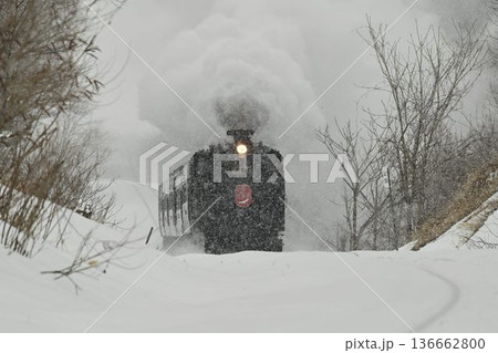 釧網本線　塘路ー萱沼　雪降り　驀進する蒸気機関車　 136662800