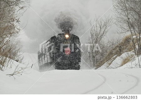 釧網本線 塘路ー萱沼 雪降り 驀進する蒸気機関車 釧網本線 塘路ー萱沼 雪降り 驀進する蒸気機関車 136662803