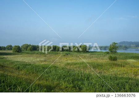 Bicycle path along the Geumgang River Bicycle path along the Geumgang River 136663076