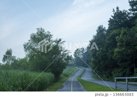 Bicycle path along the Geumgang River Bicycle path along the Geumgang River 136663083