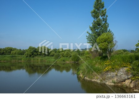 Bicycle path along the Geumgang River Bicycle path along the Geumgang River 136663161