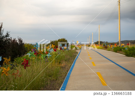 Bicycle path along the Geumgang River 136663188