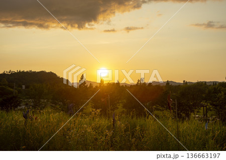 Bicycle path along the Geumgang River 136663197