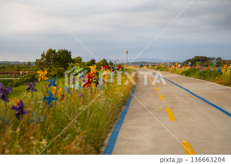 Bicycle path along the Geumgang River Bicycle path along the Geumgang River 136663204