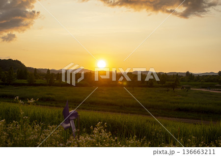 Bicycle path along the Geumgang River 136663211