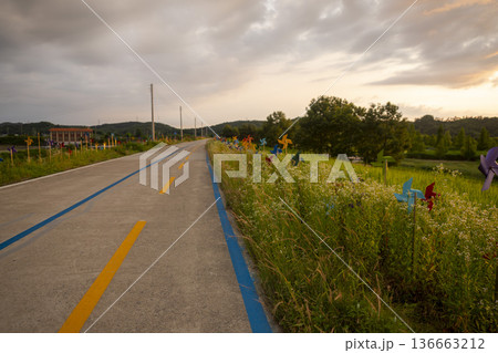 Bicycle path along the Geumgang River Bicycle path along the Geumgang River 136663212