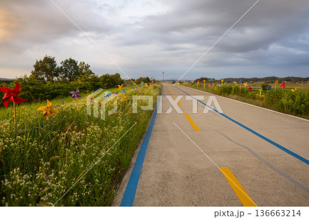 Bicycle path along the Geumgang River 136663214