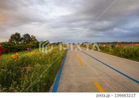 Bicycle path along the Geumgang River Bicycle path along the Geumgang River 136663217