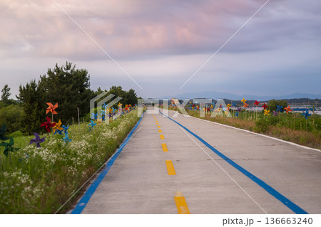 Bicycle path along the Geumgang River Bicycle path along the Geumgang River 136663240