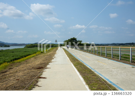 Bicycle path along the Geumgang River 136663320
