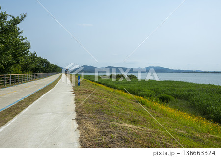 Bicycle path along the Geumgang River 136663324