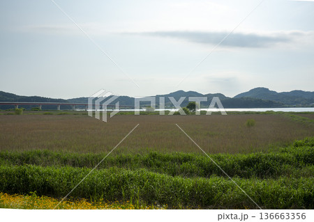 Bicycle path along the Geumgang River 136663356