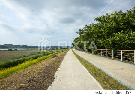 Bicycle path along the Geumgang River Bicycle path along the Geumgang River 136663357