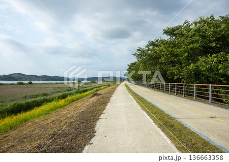 Bicycle path along the Geumgang River 136663358