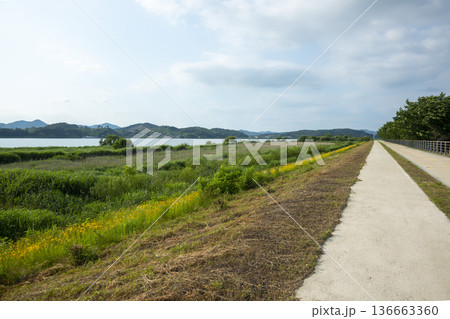 Bicycle path along the Geumgang River Bicycle path along the Geumgang River 136663360