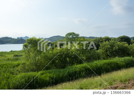 Bicycle path along the Geumgang River Bicycle path along the Geumgang River 136663366