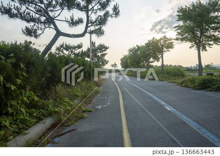Bicycle path along the Geumgang River Bicycle path along the Geumgang River 136663443