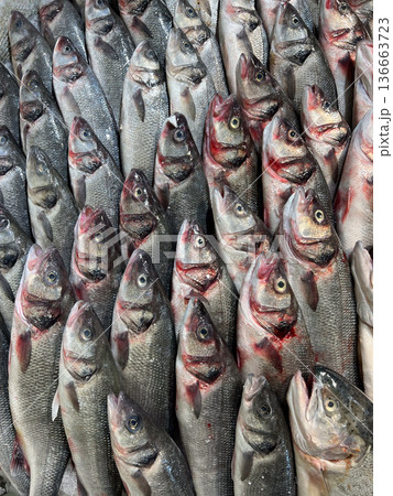 Fresh fish selling at a market counter Fresh fish selling at a market counter 136663723