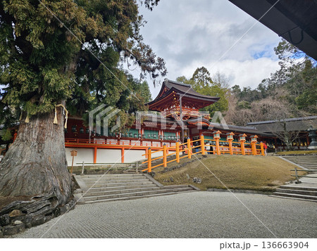 春日大社　奈良県　奈良市　春日野町 136663904