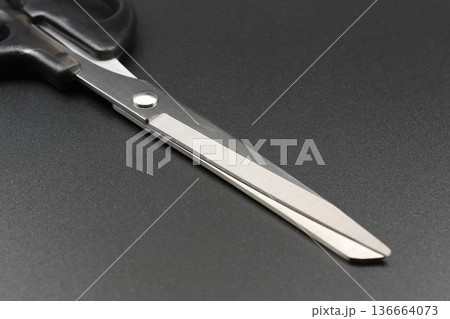 ハサミ ハサミ 136664073