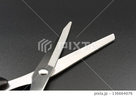 ハサミ ハサミ 136664076