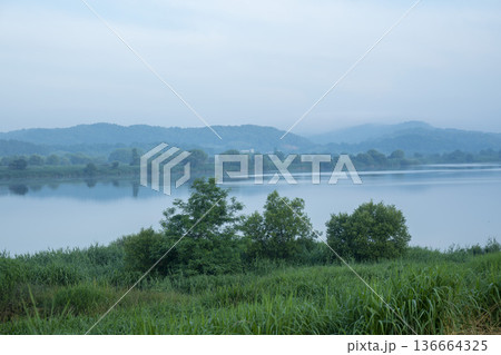 Bicycle path along the Geumgang River Bicycle path along the Geumgang River 136664325
