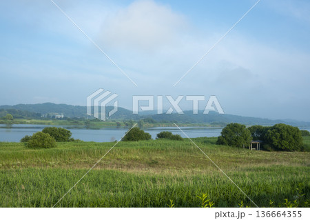 Bicycle path along the Geumgang River Bicycle path along the Geumgang River 136664355
