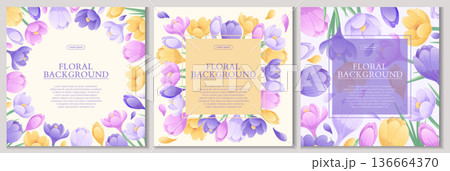 A set of colorful backgrounds with beautiful crocuses. The concept of spring, wedding, March 8th, mother's day, birthday. Vector illustration for the design of posters, flyers, postcards, invitations 136664370