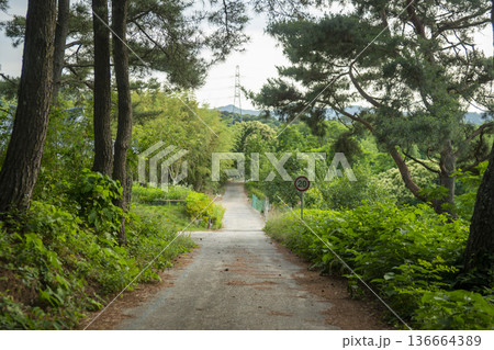 Bicycle path along the Geumgang River 136664389