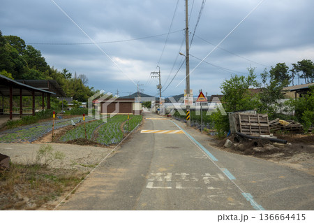 Bicycle path along the Geumgang River Bicycle path along the Geumgang River 136664415