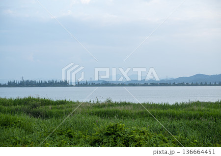Bicycle path along the Geumgang River Bicycle path along the Geumgang River 136664451