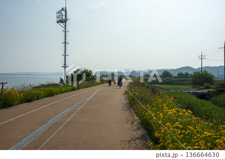 Bicycle path along the Geumgang River 136664630